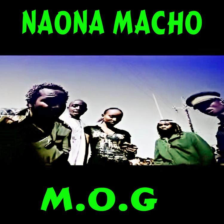 M.O.G's avatar image