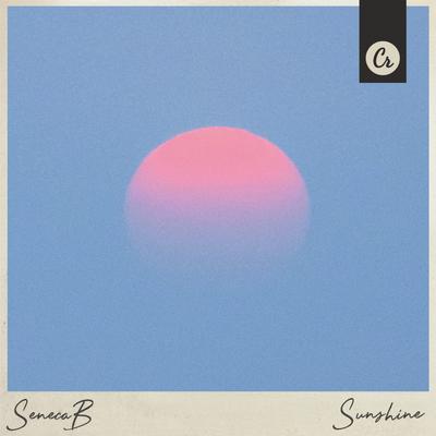 Sunshine (Original Mix) By Seneca B's cover