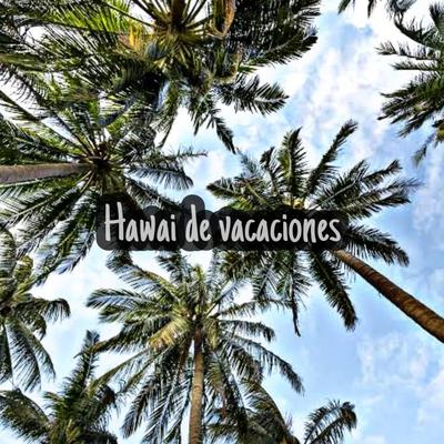 Hawai de Vacaciones's cover