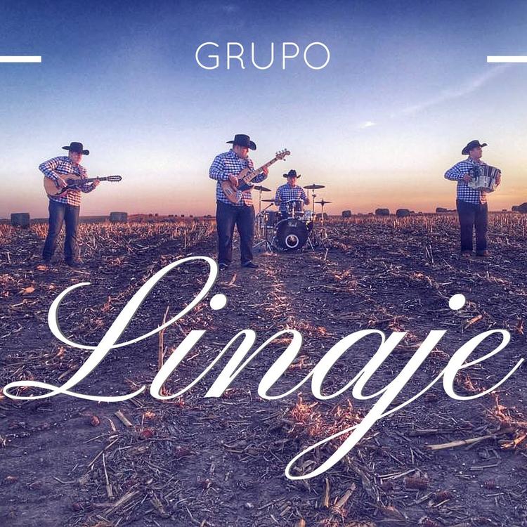 Grupo Linaje's avatar image