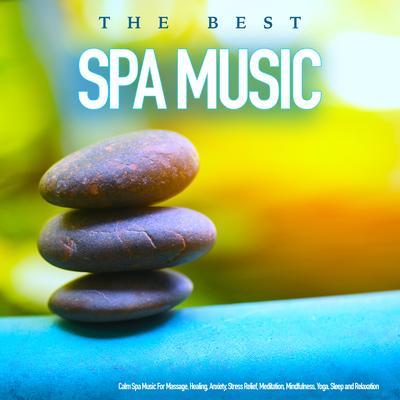 Calm Spa Music for Meditation By Spa Music & Meditation Collective, Calm Music, Spa Music's cover