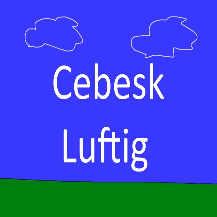 Cebesk's avatar image