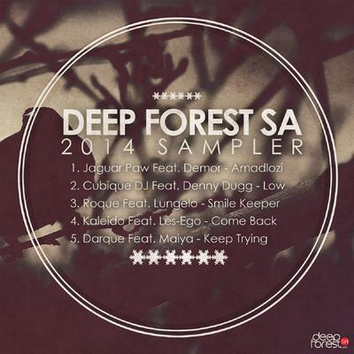 Deepforestsa 2014 Sampler's cover