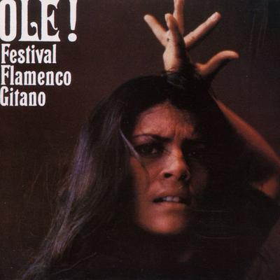 Festival Flamenco Gitano (Olé!)'s cover