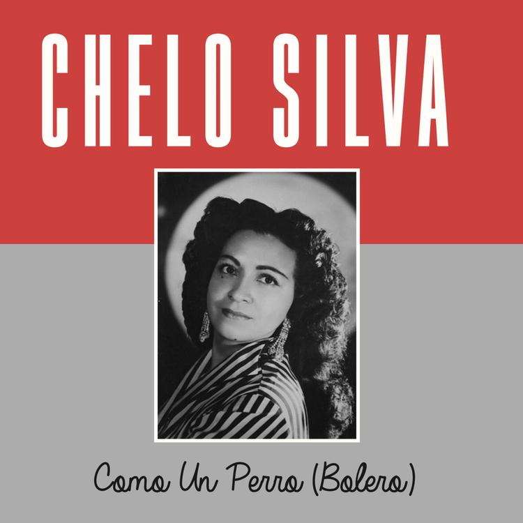 Chelo Silva's avatar image