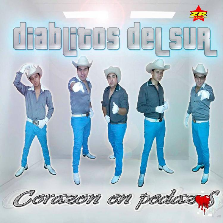 Diablitos del Sur's avatar image