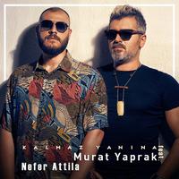 Murat Yaprak's avatar cover