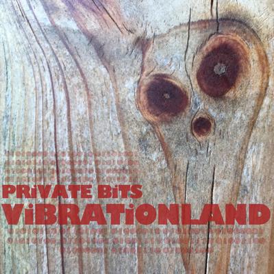 Vibrationland's cover