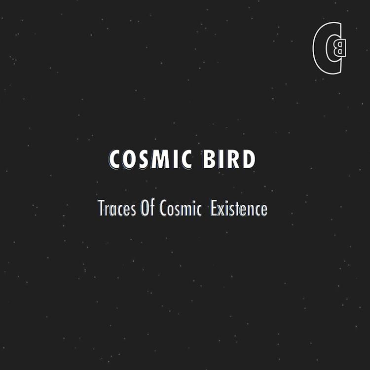 Cosmic Bird's avatar image