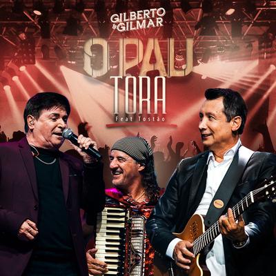 O Pau Tora (Ao Vivo) By Gilberto e Gilmar, Tostao's cover