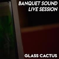 Glass Cactus's avatar cover