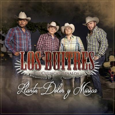 Popurri de Huapangos By Los Buitres De Culiacan Sinaloa's cover