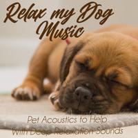 Relax My Dog Music's avatar cover