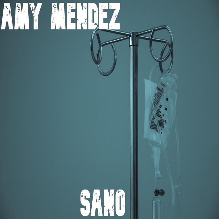 Amy Mendez's avatar image