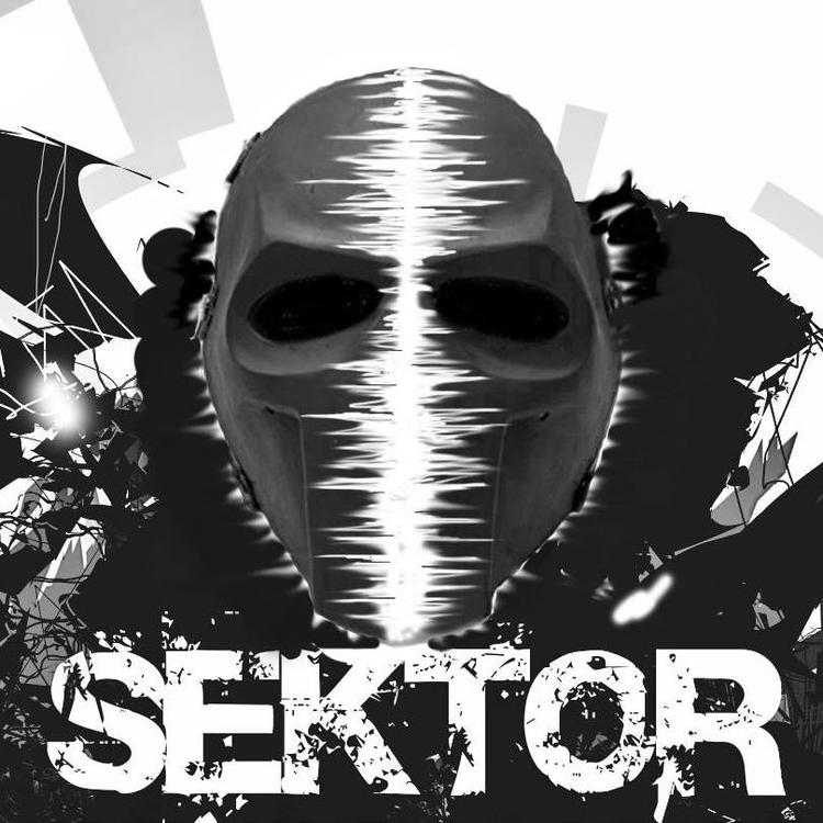 Sektor's avatar image