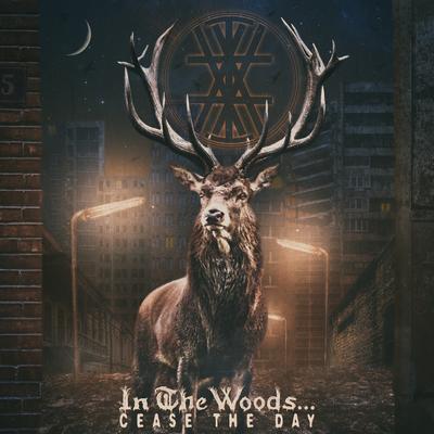 Respect My Solitude By In the Woods...'s cover