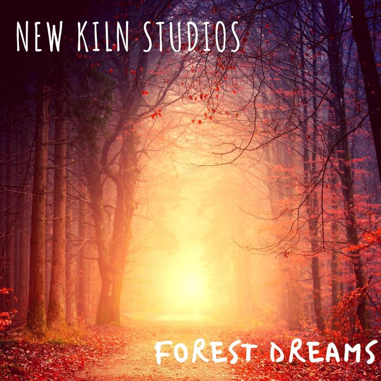 New Kiln Studios's avatar image