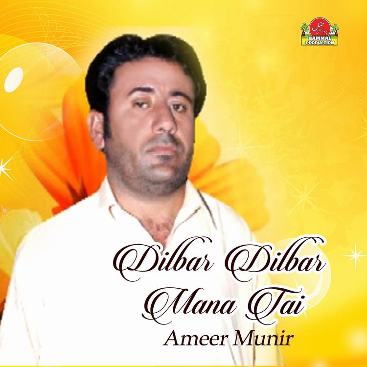 Ameer Munir's avatar image