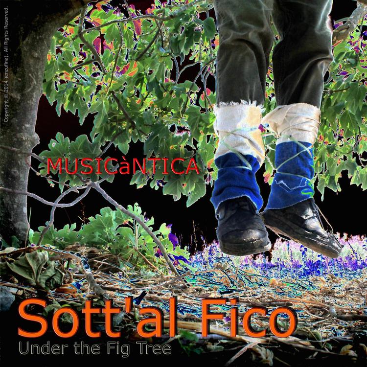 Musicàntica's avatar image