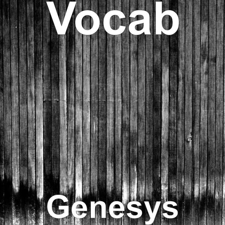 Vocab's avatar image