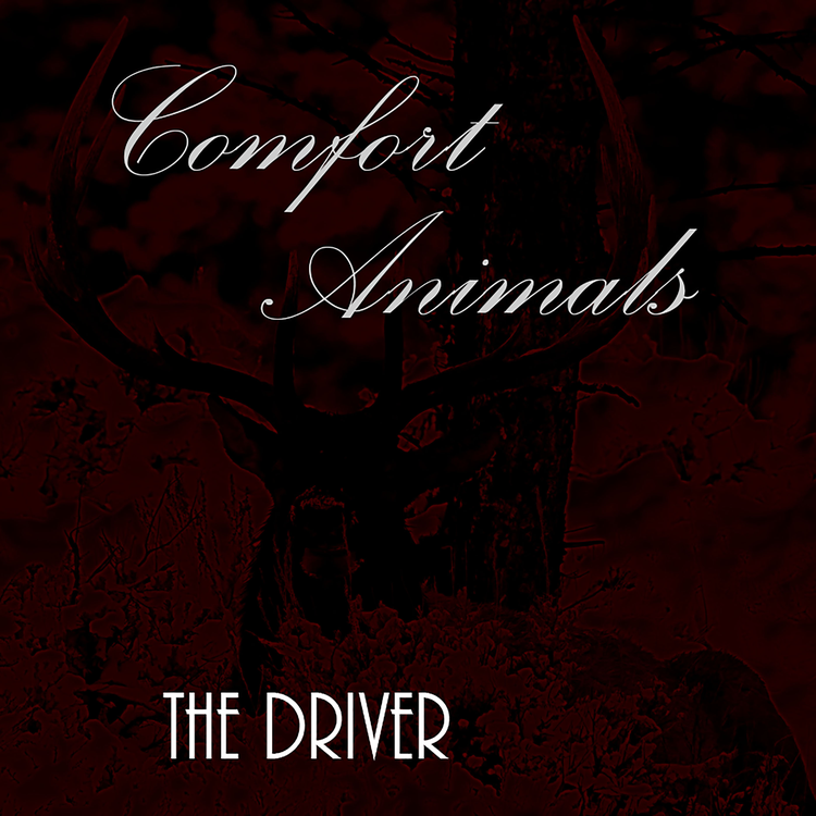 Comfort Animals's avatar image