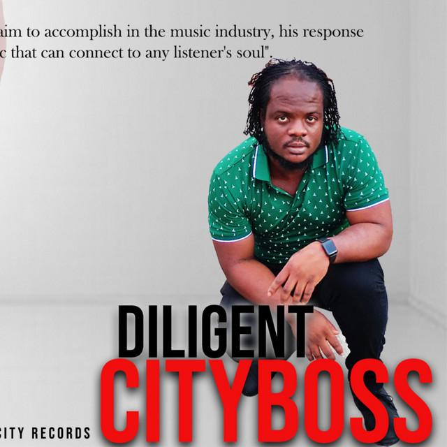 DILIGENT CITYBOSS's avatar image
