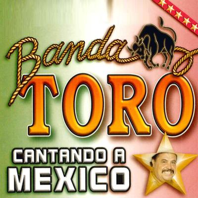 Cantando a Mexico's cover
