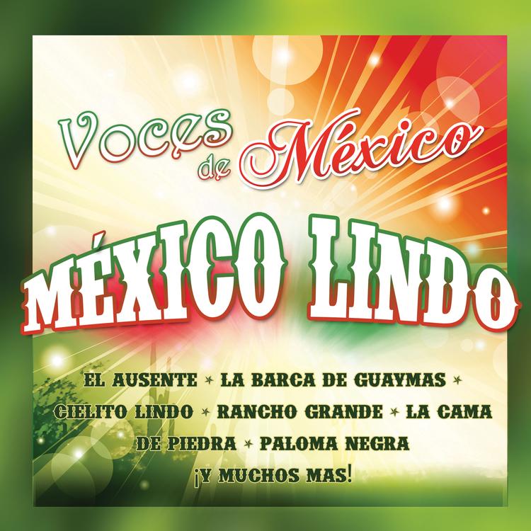 Voces de México's avatar image