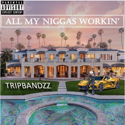 Tripbandzz's cover