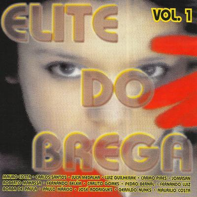 Elite do Brega, Vol. 1's cover