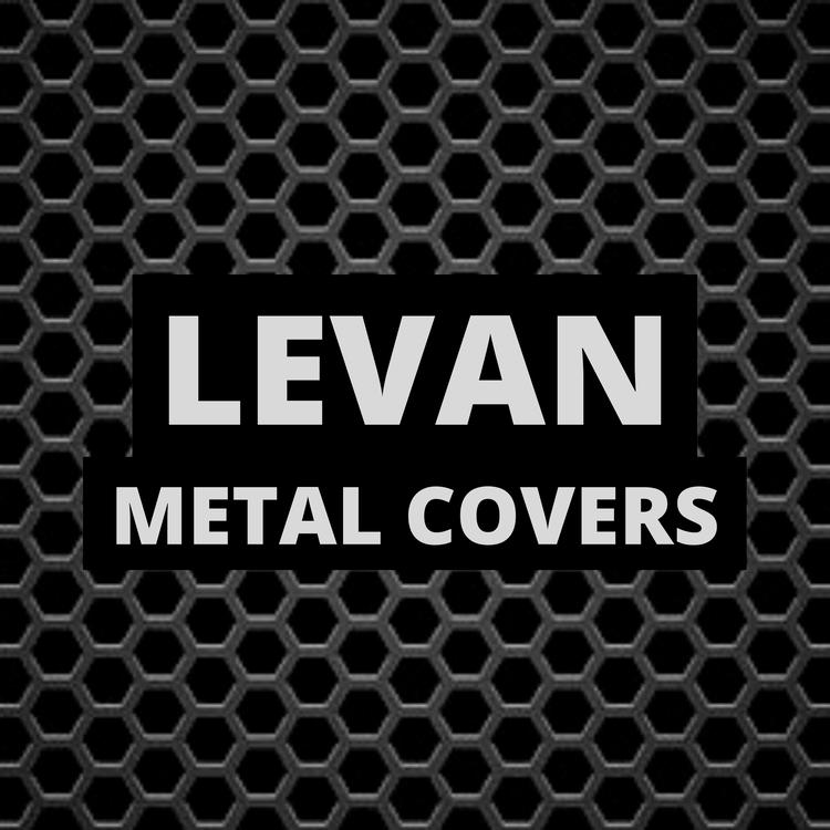 LEVAN Daniel's avatar image