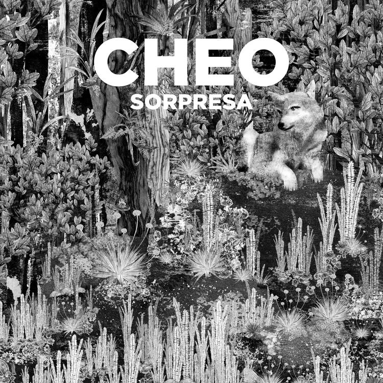 Cheo's avatar image