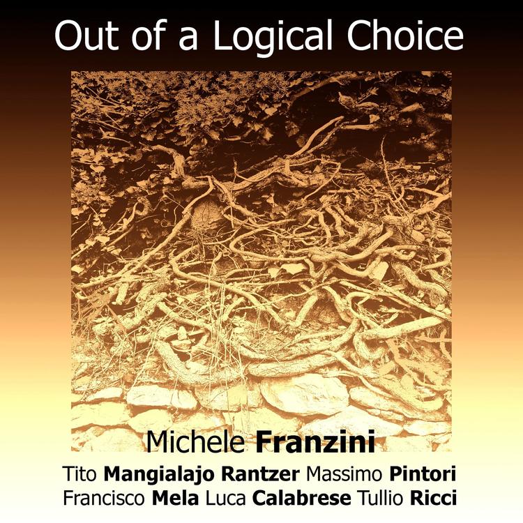 Michele Franzini's avatar image