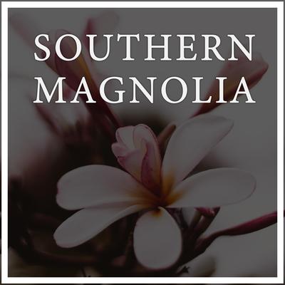 Southern Magnolia By Maneli Jamal's cover