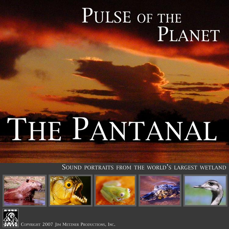 Pulse of the Planet Audio Journeys's avatar image