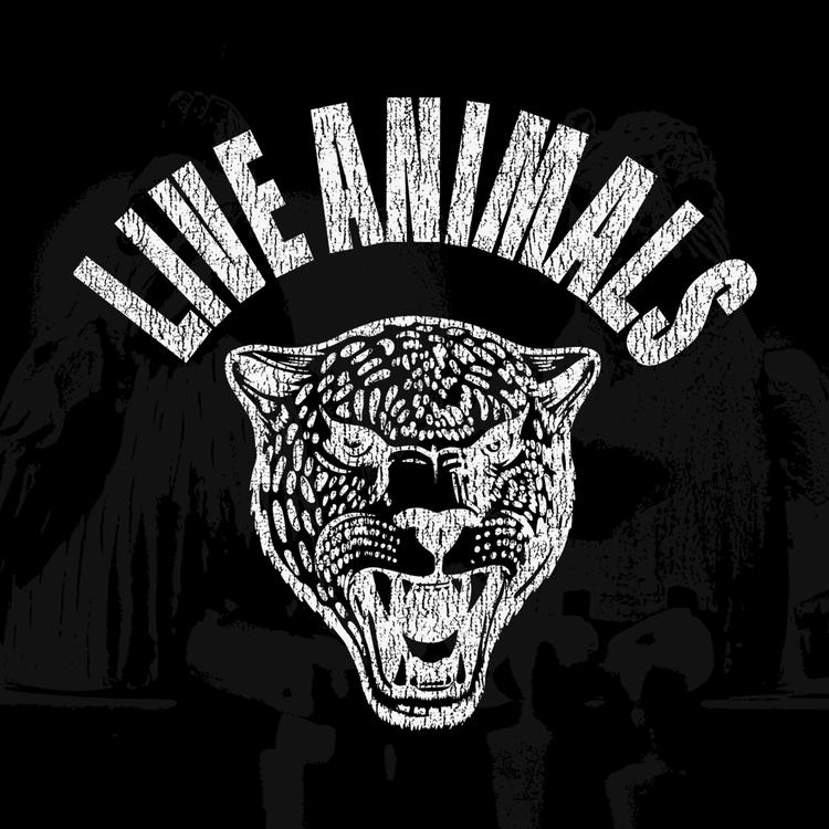 Live Animals's avatar image