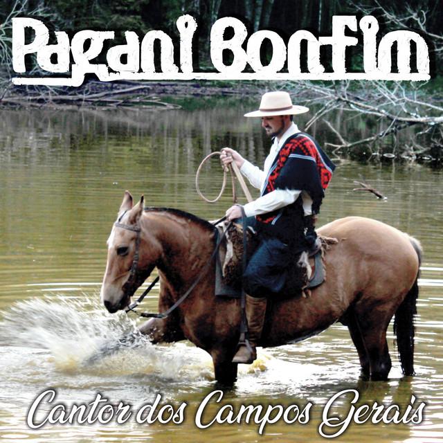 Pagani Bonfim's avatar image