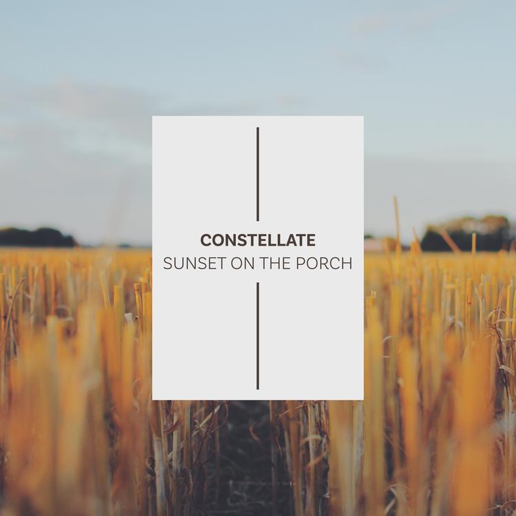 Constellate's avatar image