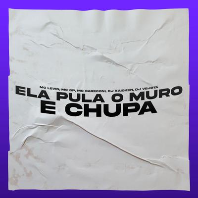 Ela Pula o Muro e Chupa By Mc Careconi, MC GP, MC Levin, DJ Kaioken, DJ Vejota's cover