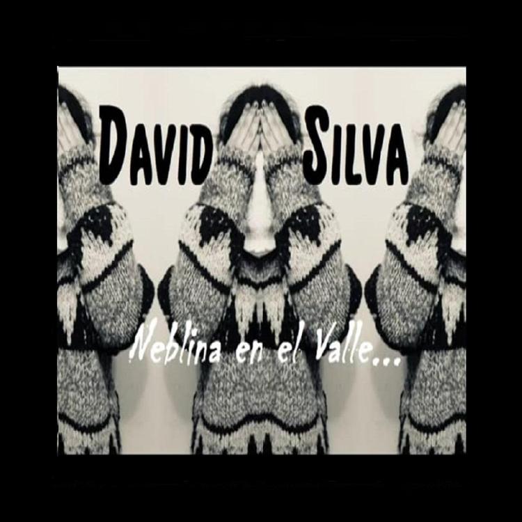 David Silva's avatar image