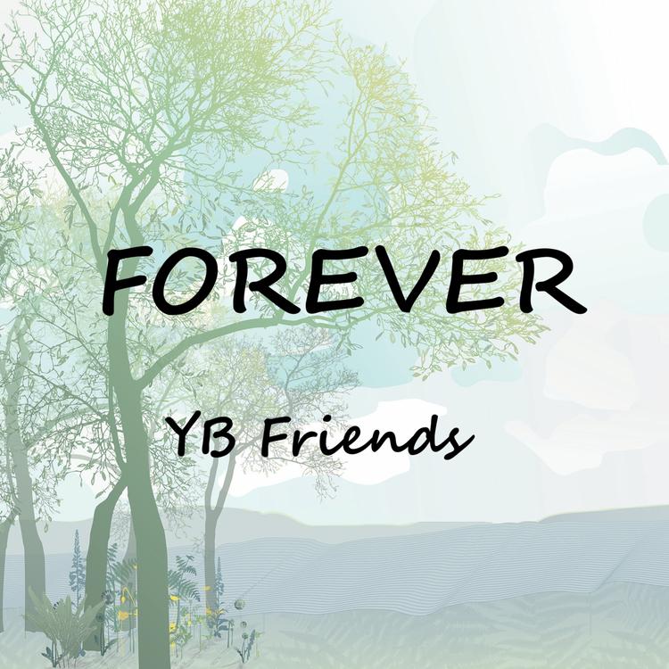 YB Friends's avatar image