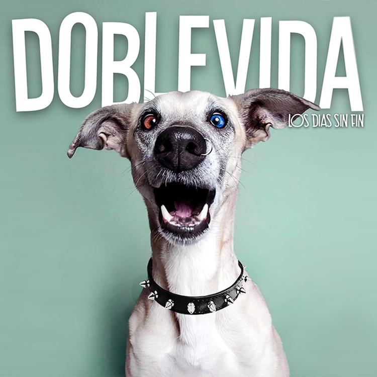 Doblevida's avatar image