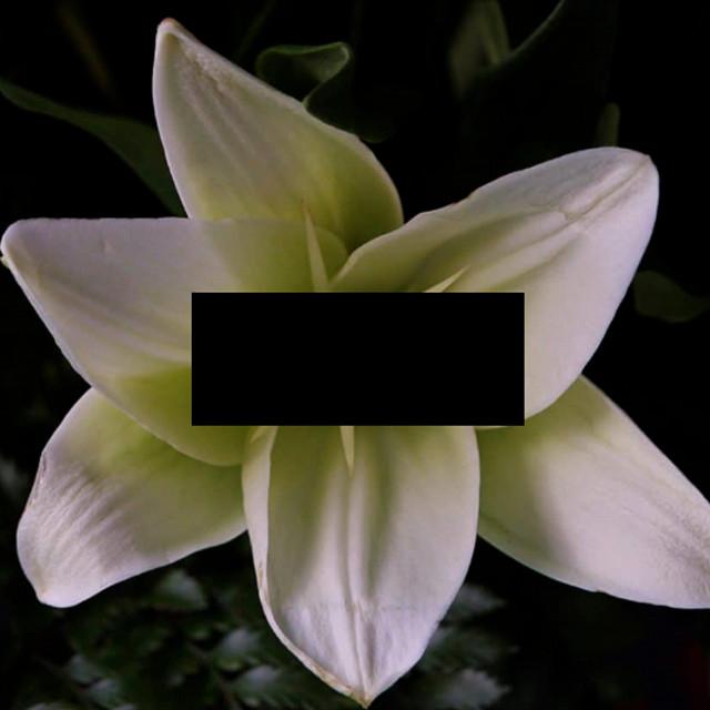 葉虎's avatar image