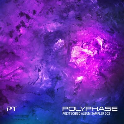 Polyphase - Polytechnic Album Sampler 002's cover