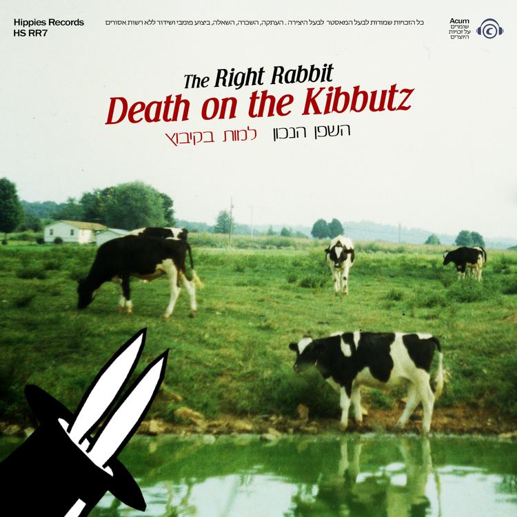 The Right Rabbit - השפן הנכון's avatar image