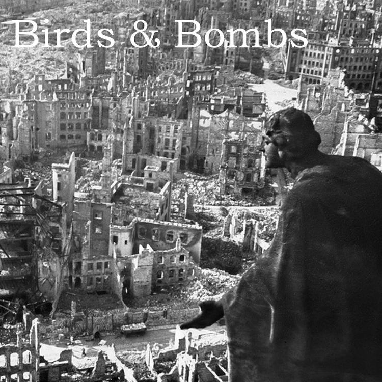 Birds & Bombs's avatar image