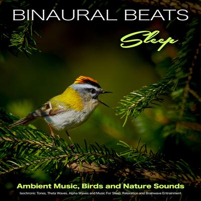 Relaxation and Brainwave Entrainment By Binaural Beats Sleep, Binaural Beats, ASMR's cover