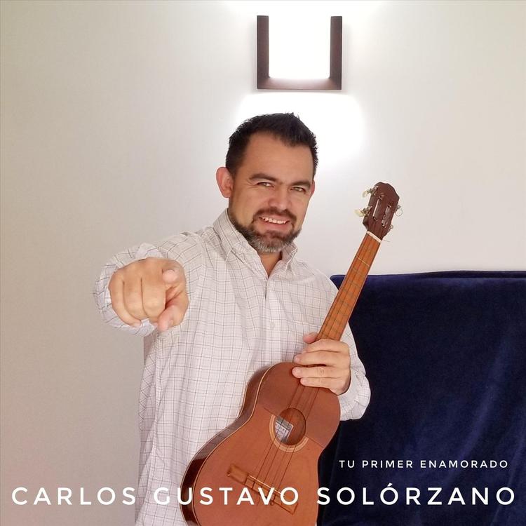 Carlos Gustavo Solórzano's avatar image