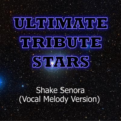 Pitbull feat. T-Pain & Sean Paul - Shake Senora (Vocal Melody Version)'s cover