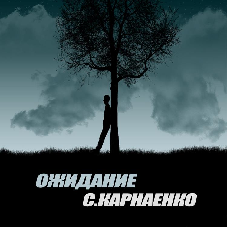 С. Карнаенко's avatar image